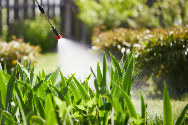 24/7 Emergency Termite Control experts in New Bedford, PA