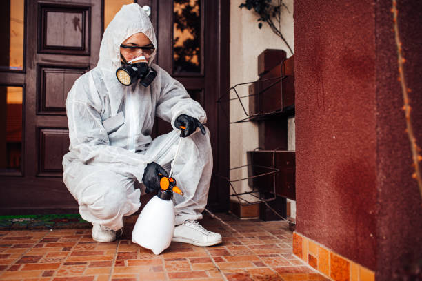 Reliable Termite Control contractor in New Bedford, PA by Nex Pest Control