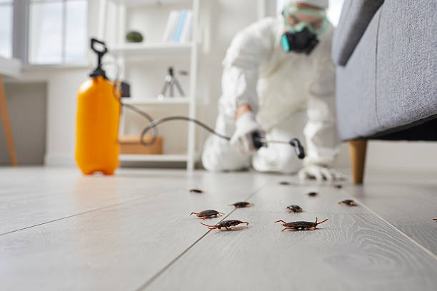Trusted Termite Control service in New Bedford, PA - Nex Pest Control